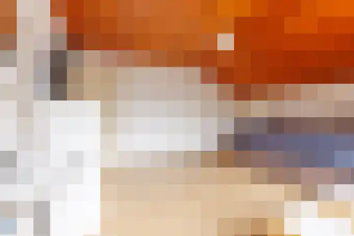 Rhienderstein 12 Ugchelen thumbnail 29