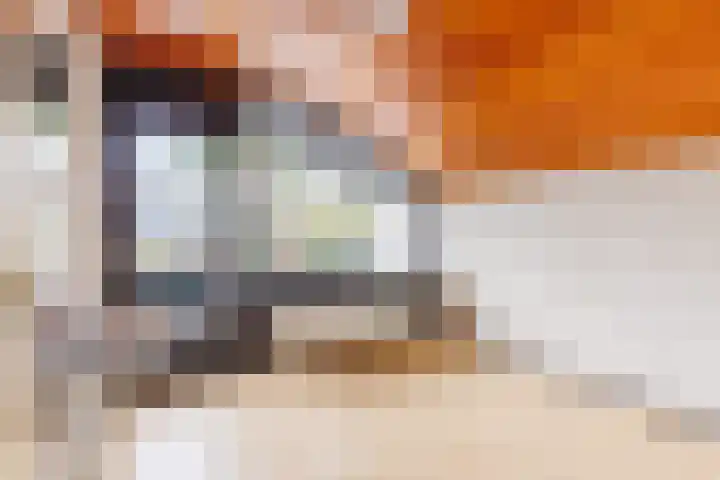 Rhienderstein 12 Ugchelen thumbnail 30