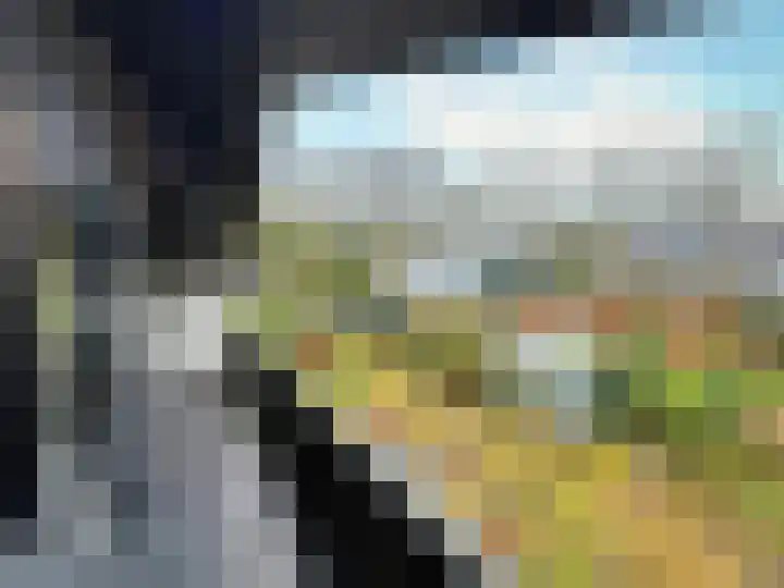 Rhienderstein 12 Ugchelen thumbnail 31