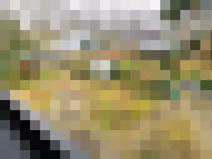 Rhienderstein 12 Ugchelen thumbnail 32