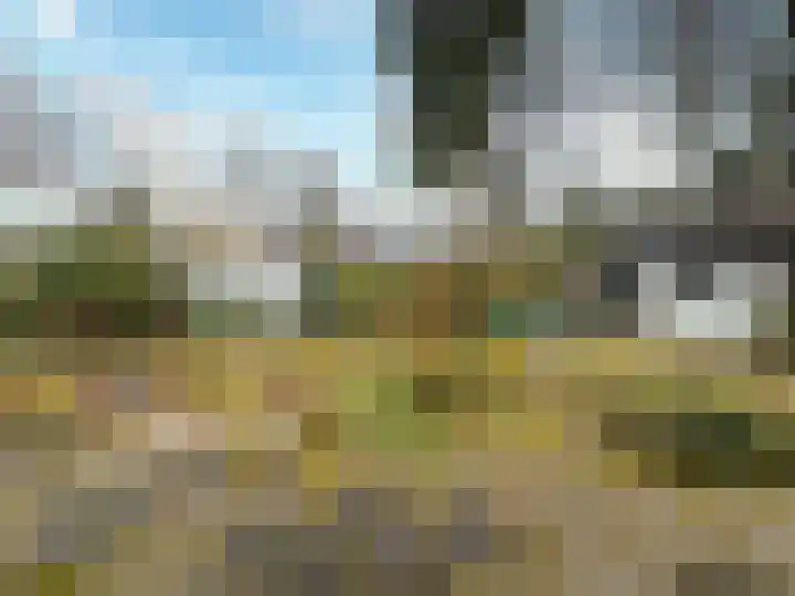 Rhienderstein 12 Ugchelen thumbnail 34