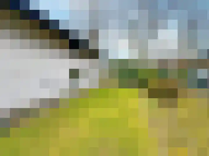 Rhienderstein 12 Ugchelen thumbnail 35