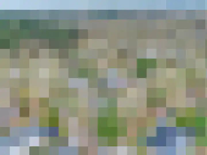 Rhienderstein 12 Ugchelen thumbnail 37