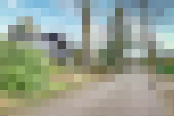 Rhienderstein 12 Ugchelen thumbnail 39