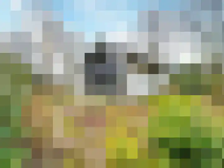 Rhienderstein 12 Ugchelen thumbnail 4