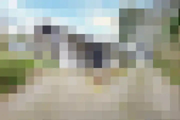 Rhienderstein 12 Ugchelen thumbnail 41