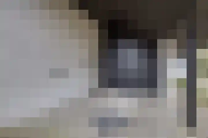 Rhienderstein 12 Ugchelen thumbnail 42