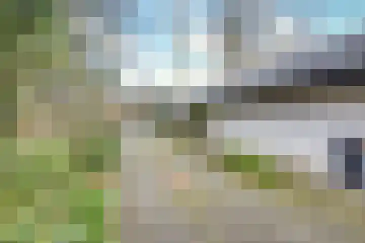 Rhienderstein 12 Ugchelen thumbnail 43