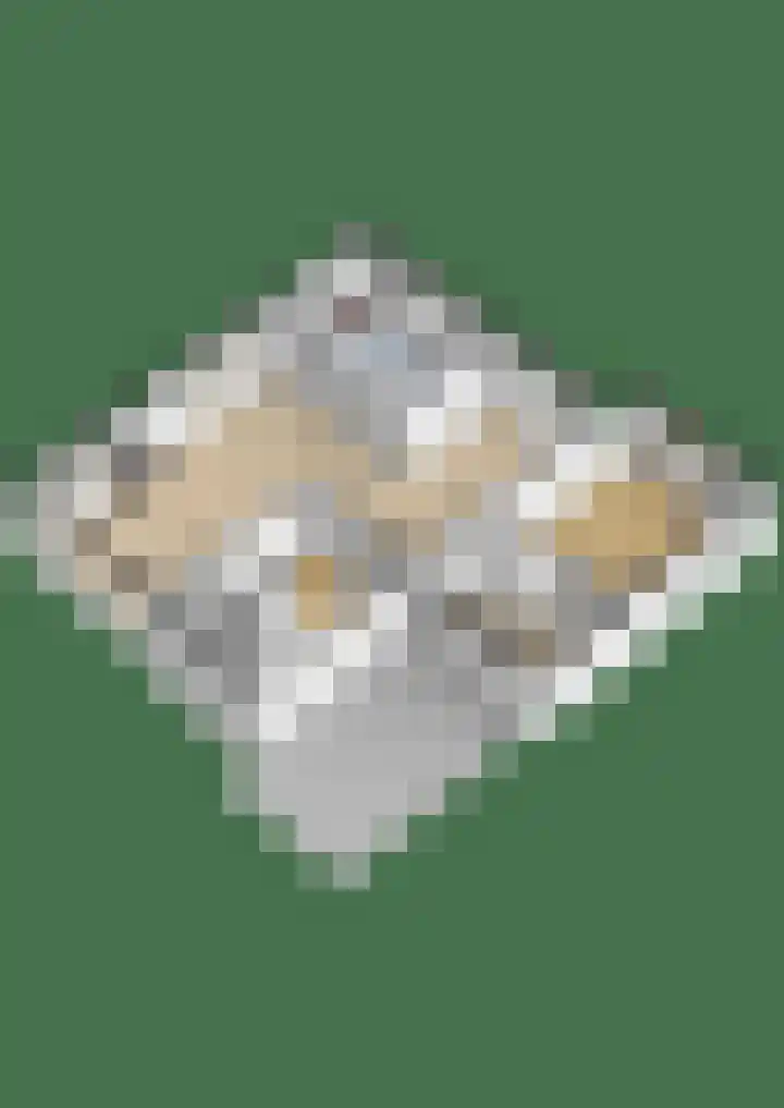Rhienderstein 12 Ugchelen thumbnail 47