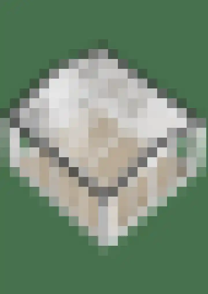 Rhienderstein 12 Ugchelen thumbnail 53