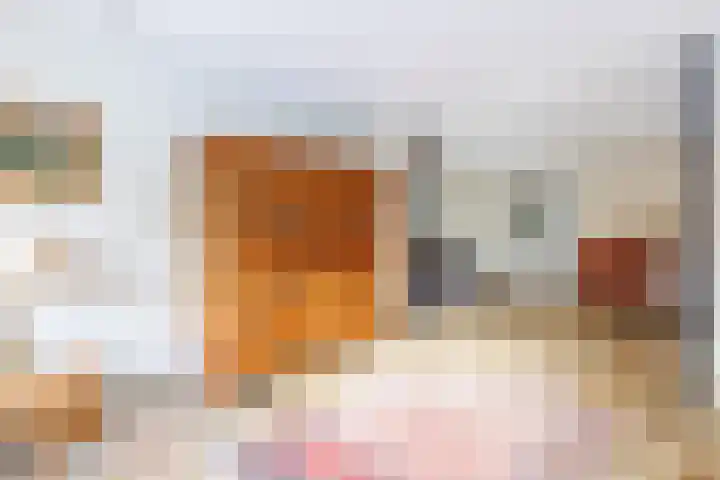 Rhienderstein 12 Ugchelen thumbnail 9