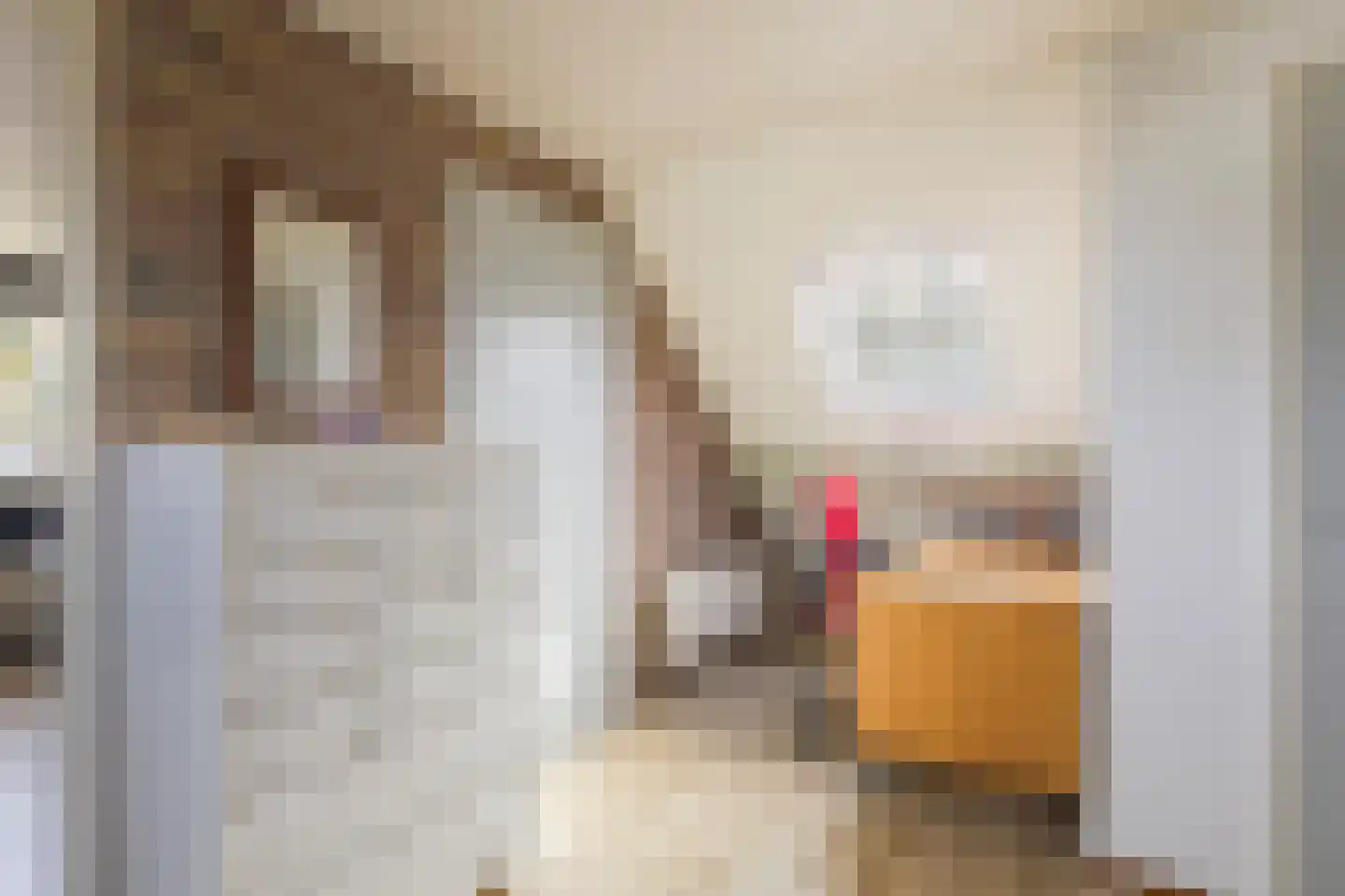 Rhienderstein 15 Ugchelen thumbnail 28