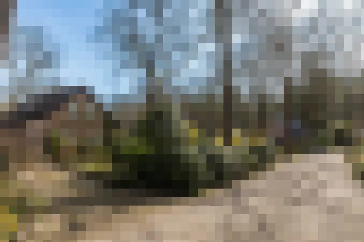 Rhienderstein 15 Ugchelen thumbnail 29