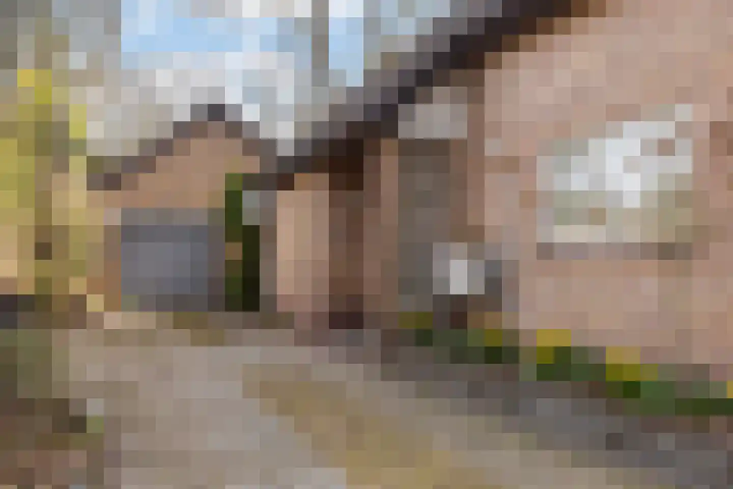 Rhienderstein 15 Ugchelen thumbnail 31