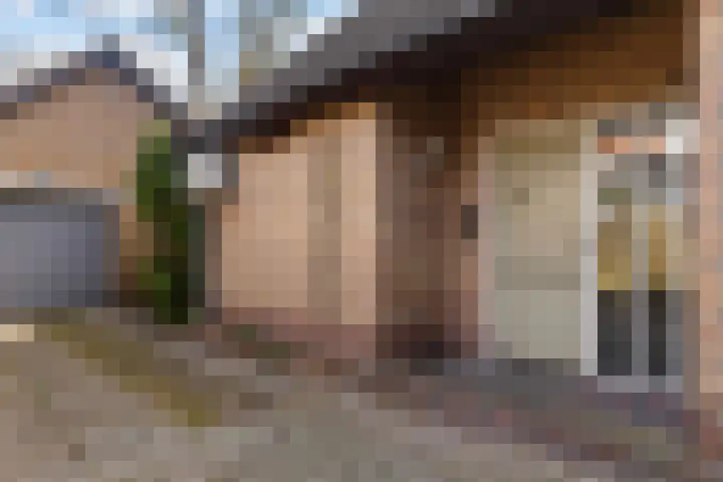 Rhienderstein 15 Ugchelen thumbnail 32
