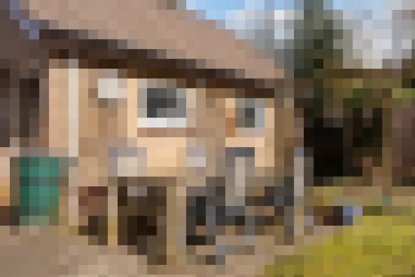 Rhienderstein 15 Ugchelen thumbnail 42