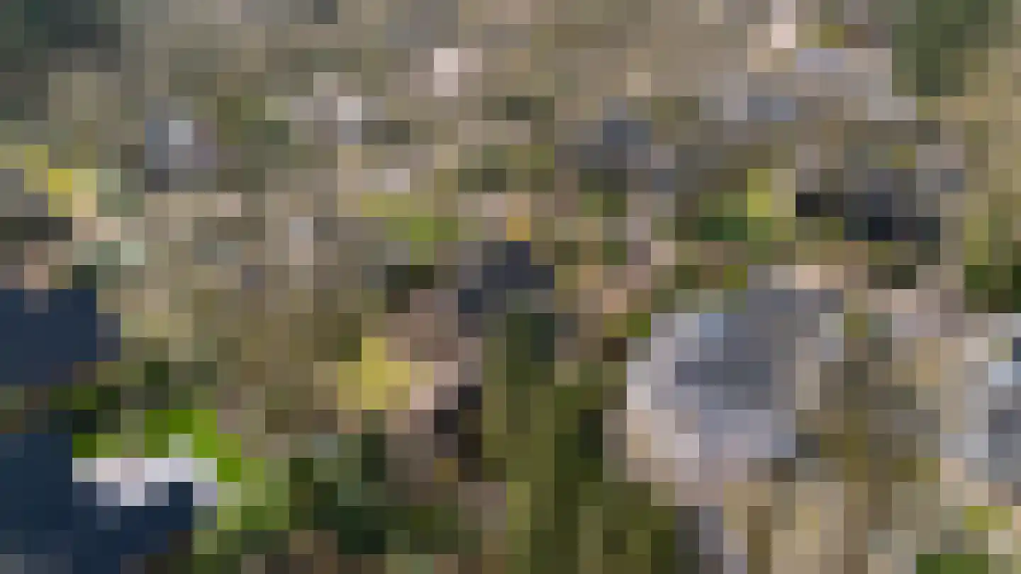 Rhienderstein 15 Ugchelen thumbnail 45