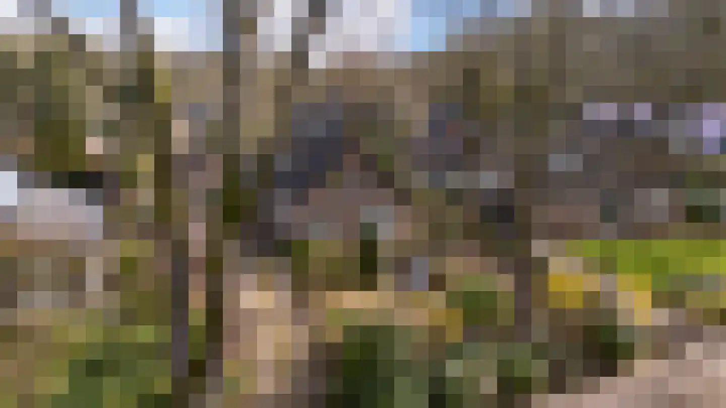 Rhienderstein 15 Ugchelen thumbnail 47