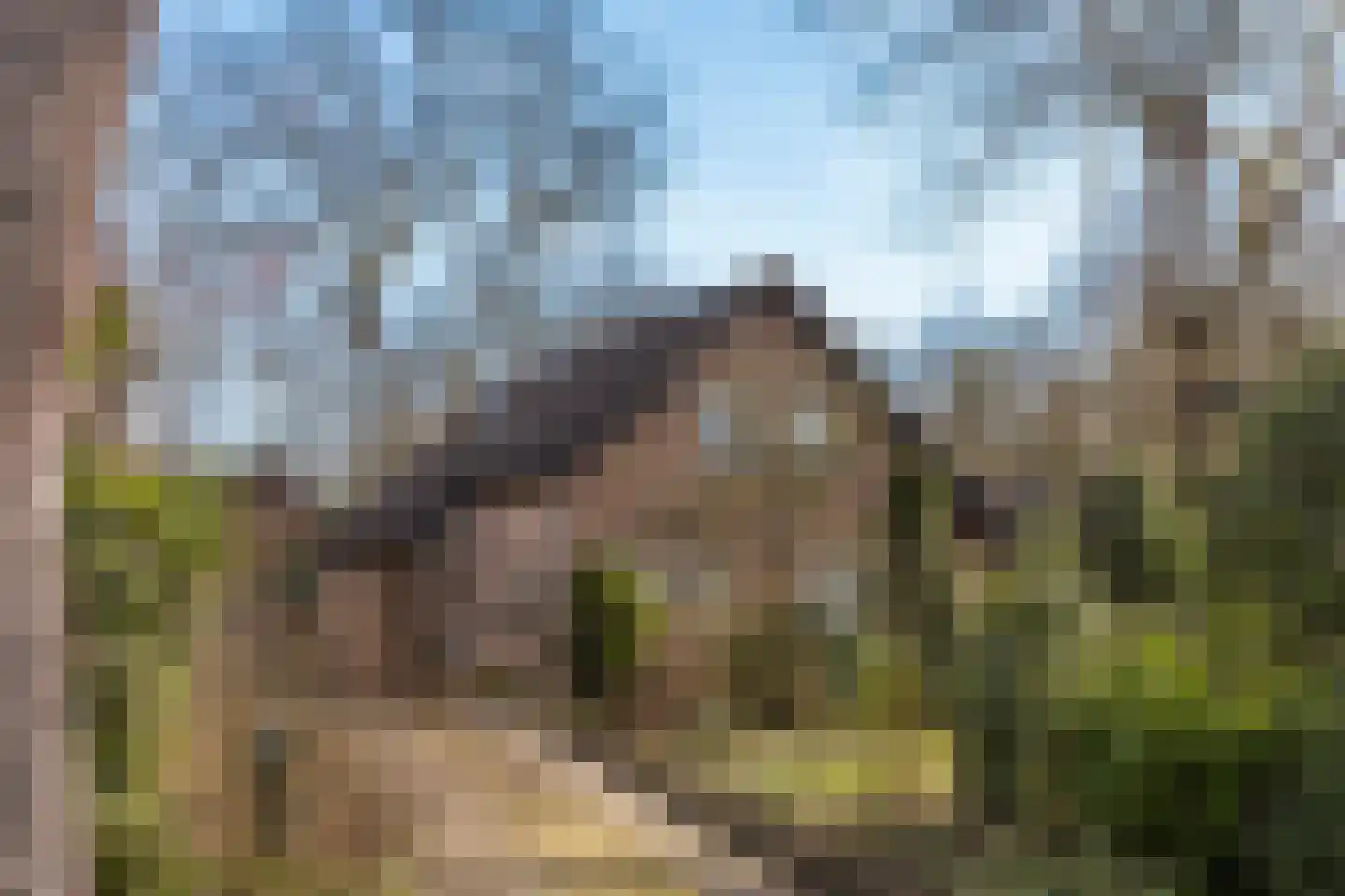 Rhienderstein 15 Ugchelen thumbnail 5