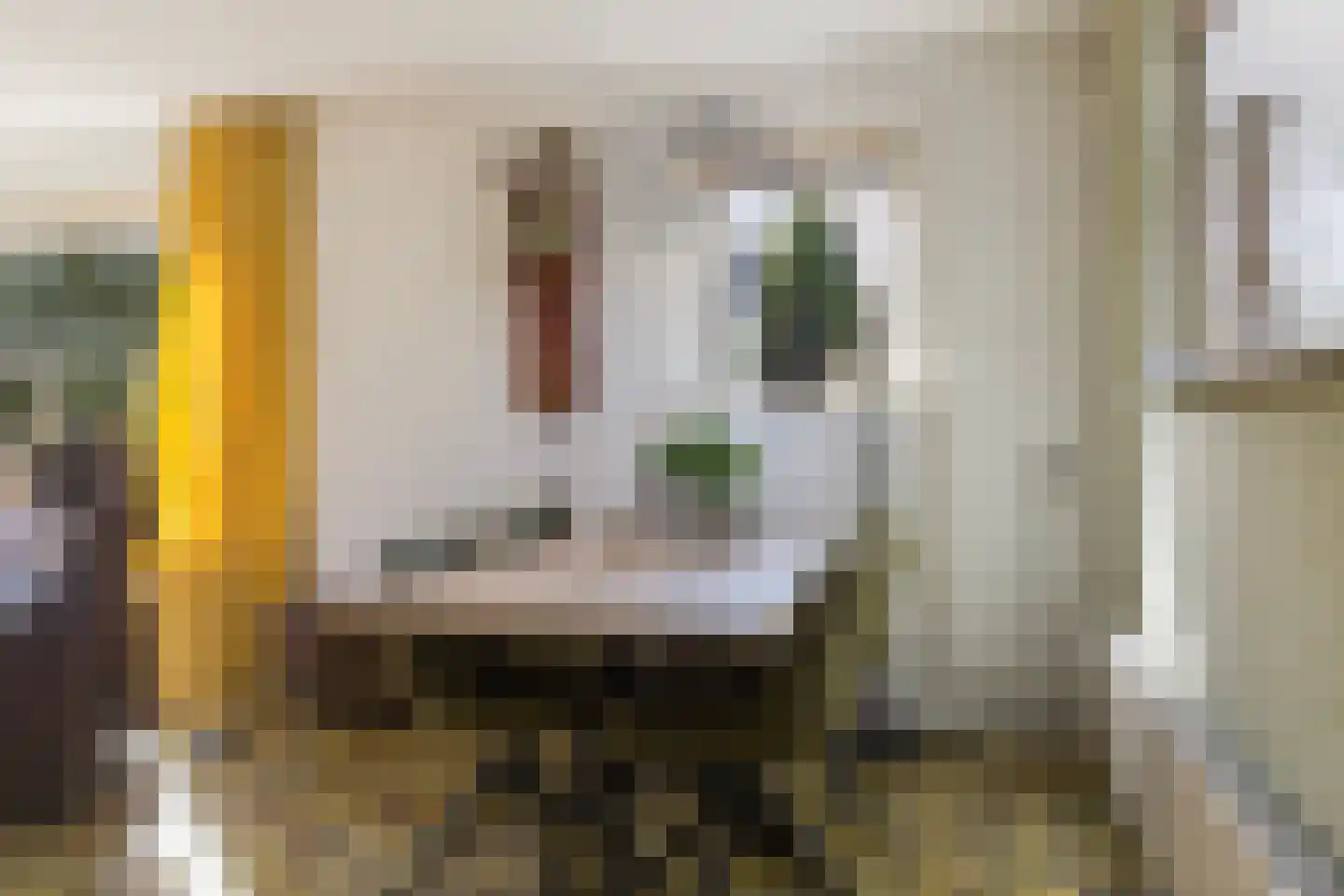 Rhienderstein 15 Ugchelen thumbnail 9