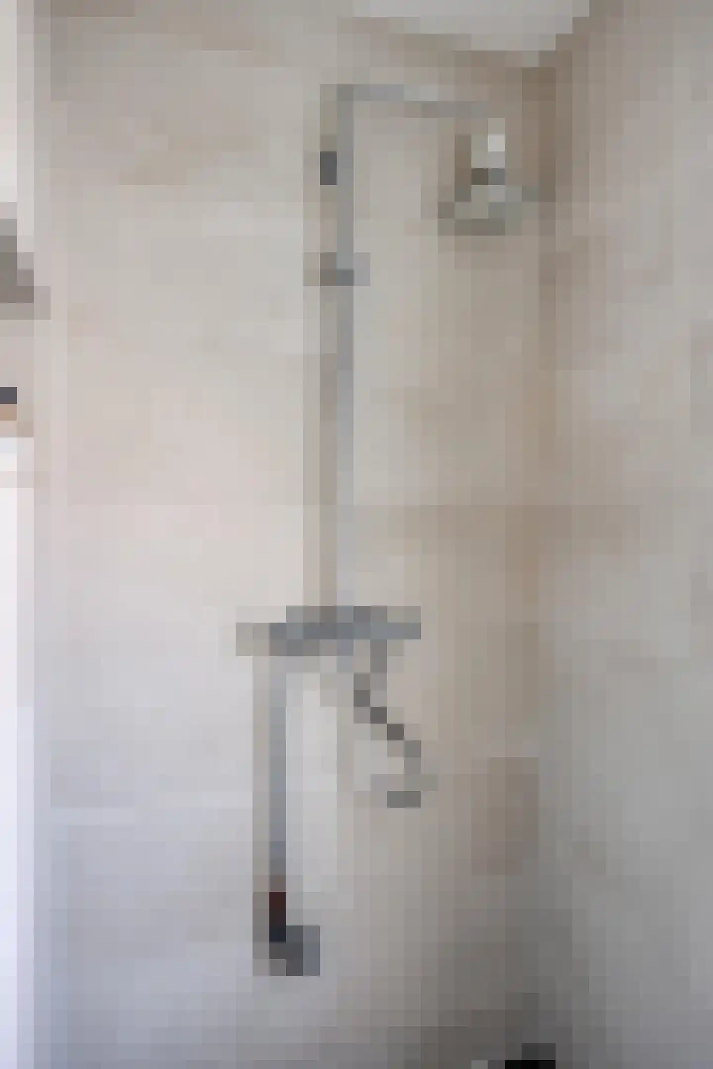 Rhienderstein 19 Nieuw-Vennep thumbnail 17