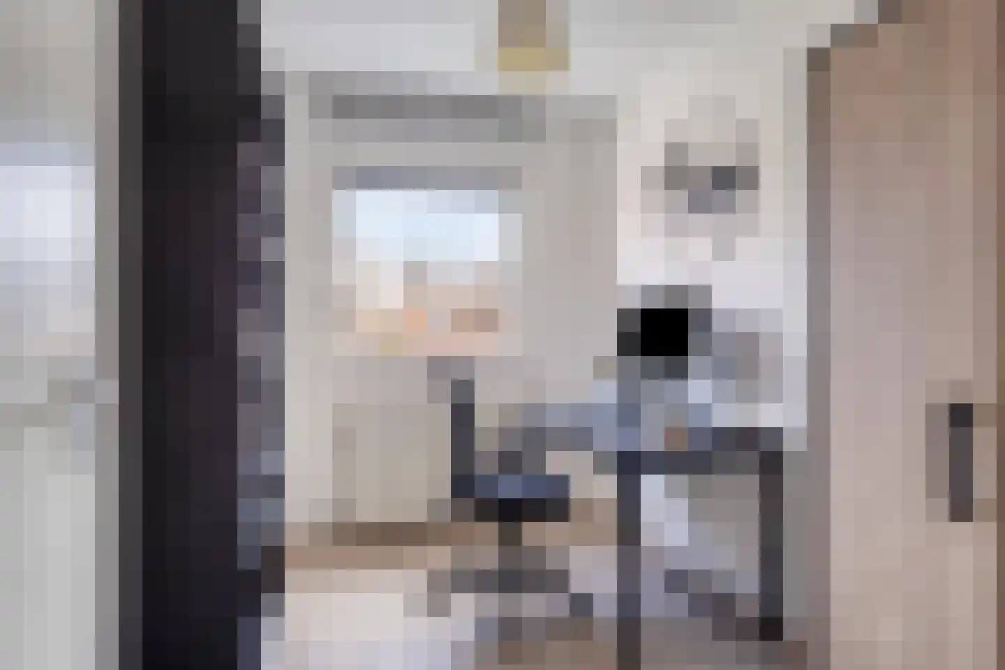Rhienderstein 19 Nieuw-Vennep thumbnail 19