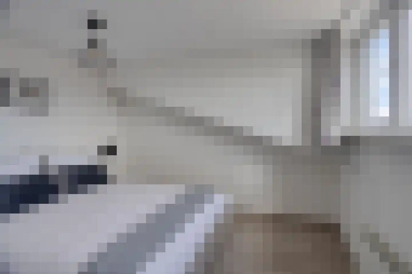 Rhienderstein 19 Nieuw-Vennep thumbnail 22