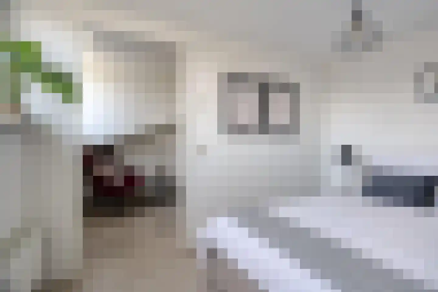 Rhienderstein 19 Nieuw-Vennep thumbnail 23