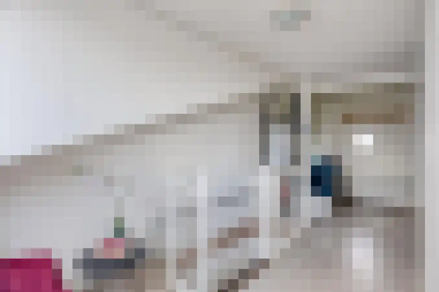 Rhienderstein 19 Nieuw-Vennep thumbnail 28