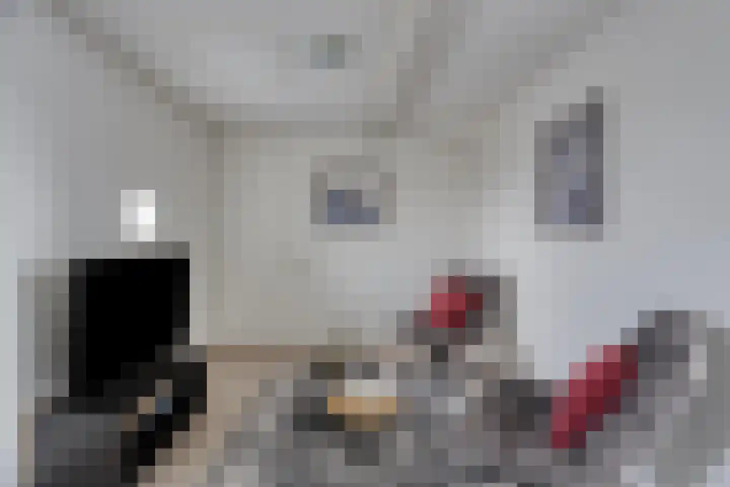 Rhienderstein 19 Nieuw-Vennep thumbnail 30