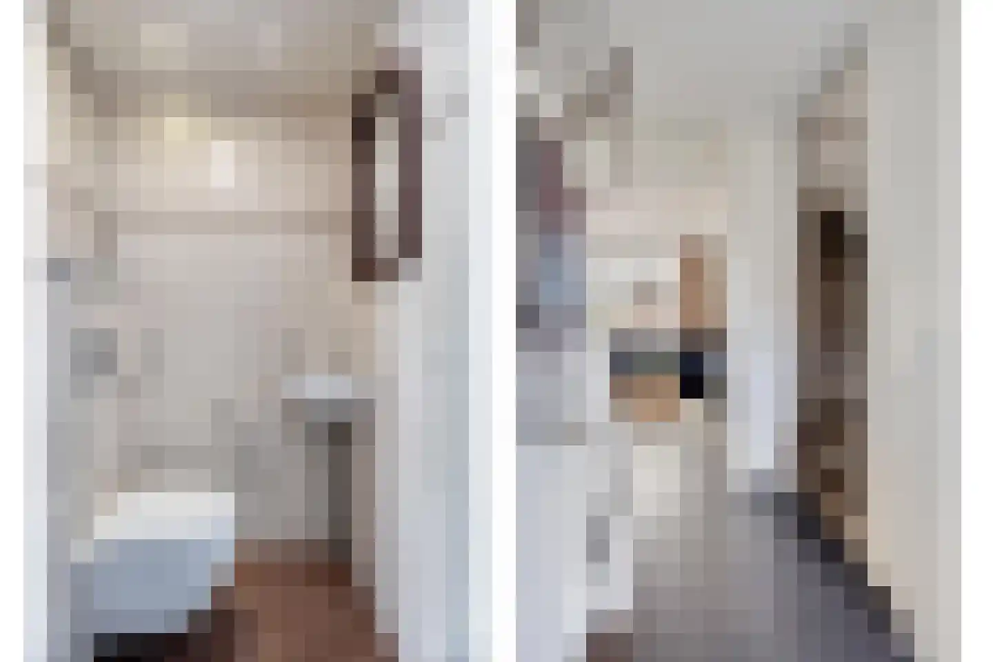 Rhienderstein 19 Nieuw-Vennep thumbnail 33