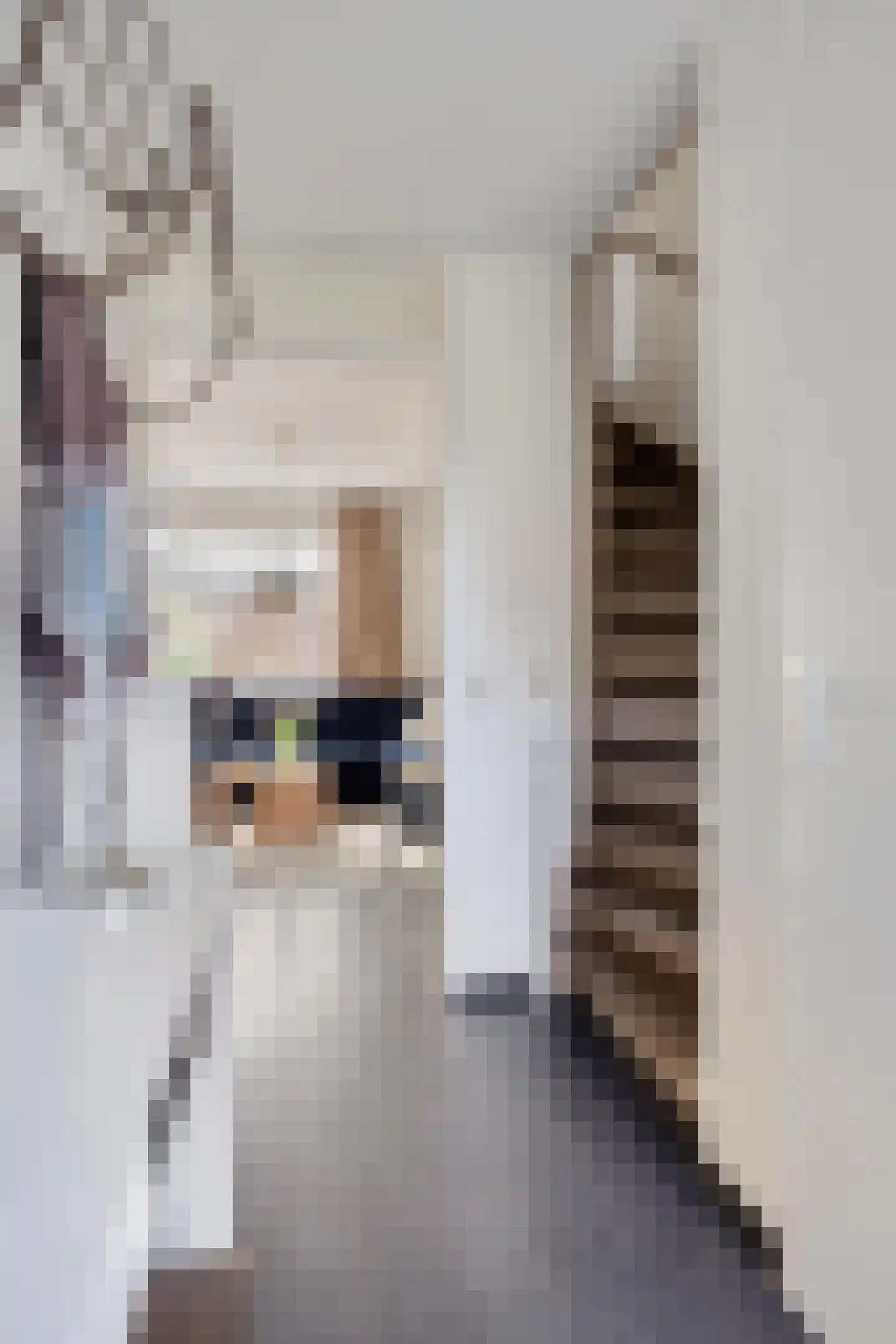 Rhienderstein 19 Nieuw-Vennep thumbnail 7