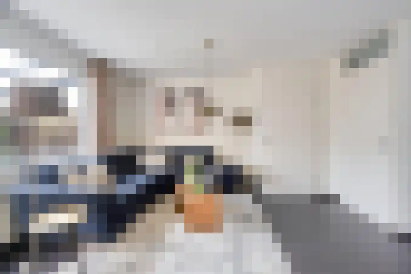 Rhienderstein 19 Nieuw-Vennep thumbnail 8