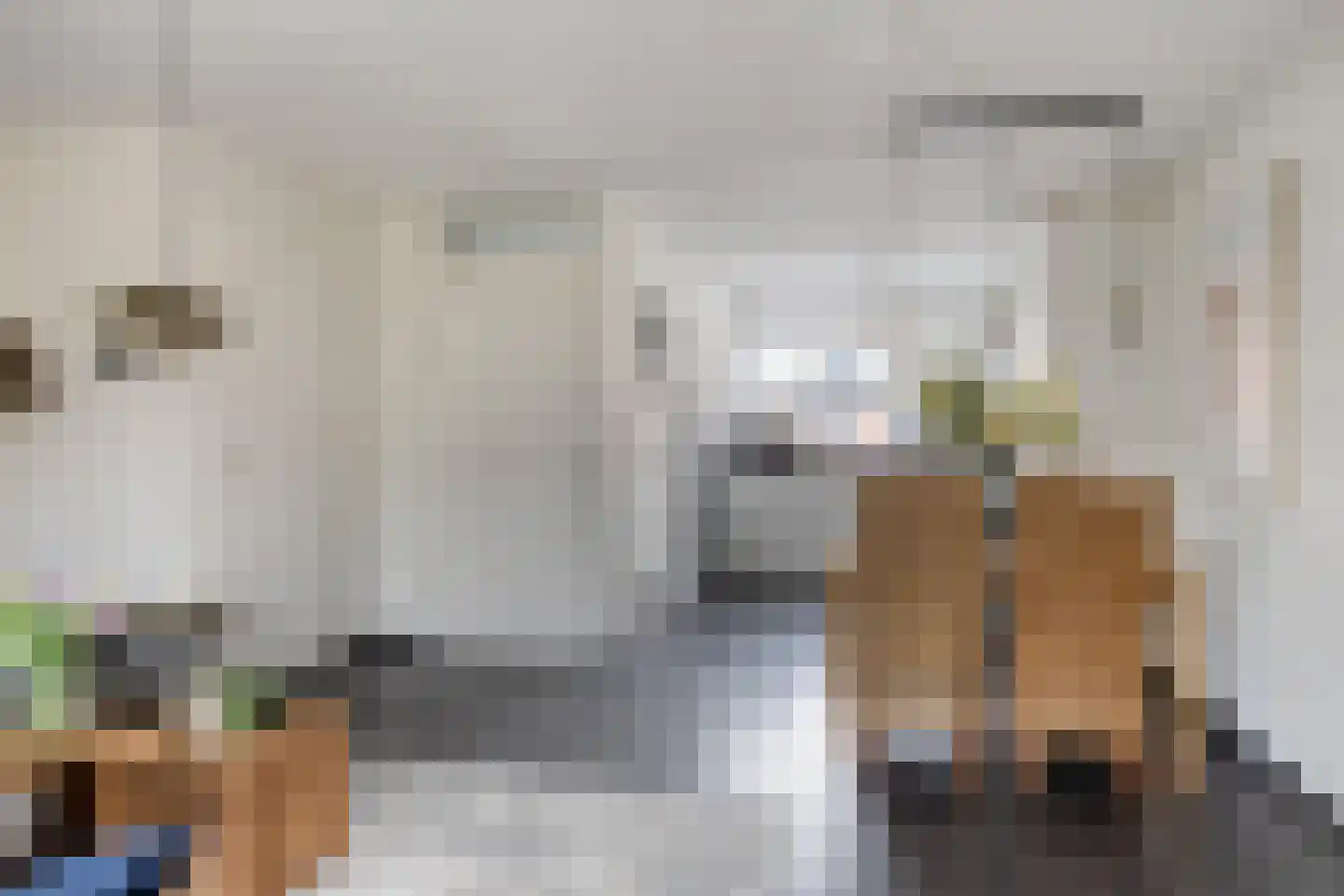 Rhienderstein 19 Nieuw-Vennep thumbnail 9