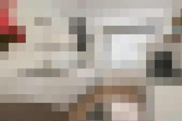 Rhienderstein 21 Nieuw-Vennep thumbnail 14