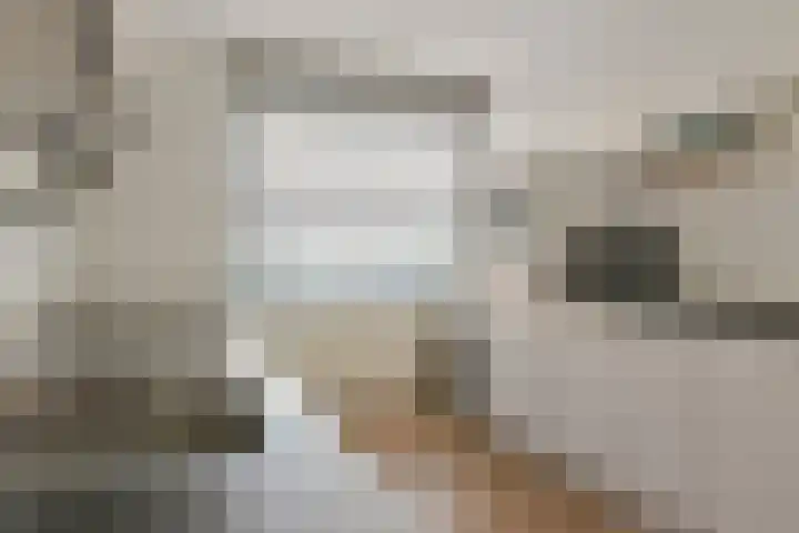 Rhienderstein 21 Nieuw-Vennep thumbnail 15