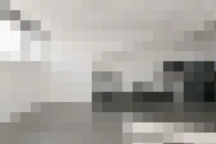 Rhienderstein 21 Nieuw-Vennep thumbnail 31