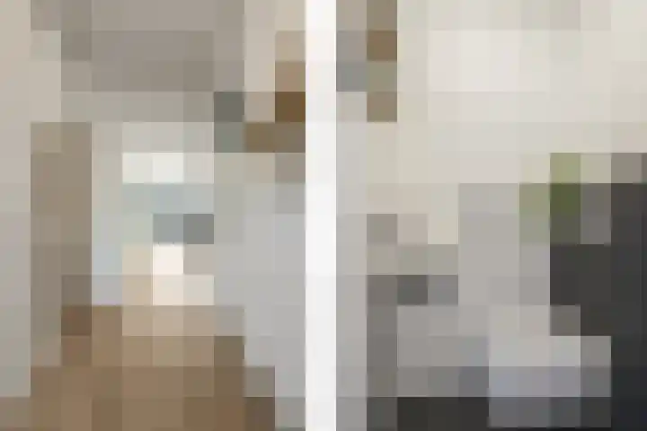Rhienderstein 21 Nieuw-Vennep thumbnail 4