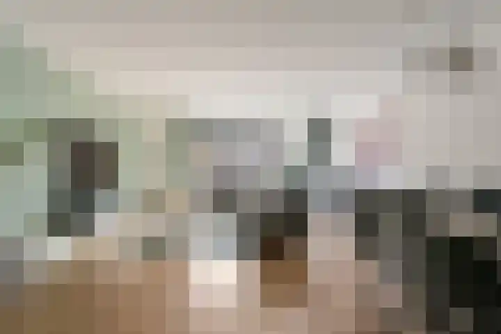 Rhienderstein 21 Nieuw-Vennep thumbnail 6