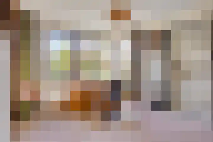 Rhienderstein 4 Ugchelen thumbnail 15