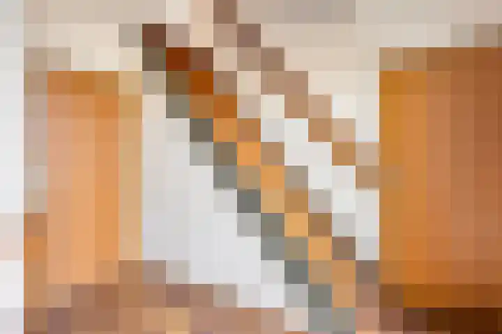 Rhienderstein 4 Ugchelen thumbnail 16
