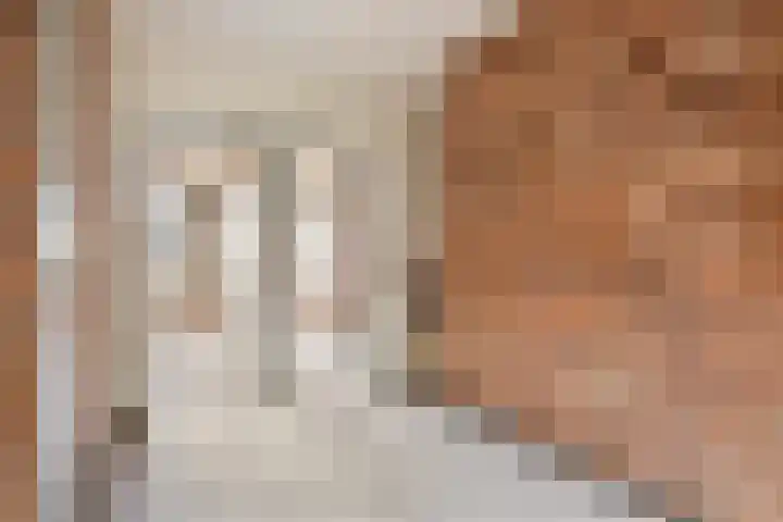 Rhienderstein 4 Ugchelen thumbnail 17