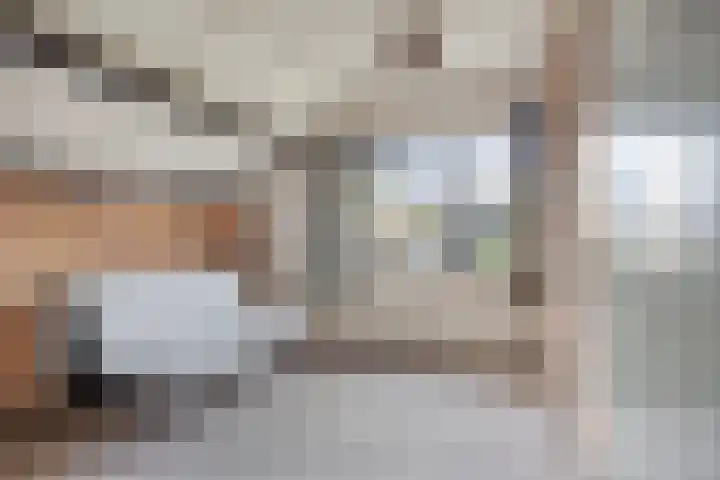 Rhienderstein 4 Ugchelen thumbnail 22