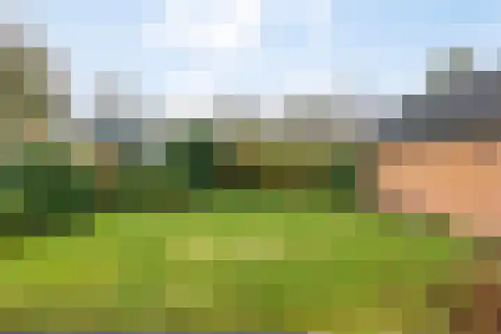 Rhienderstein 4 Ugchelen thumbnail 26