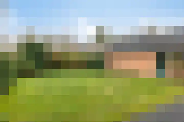 Rhienderstein 4 Ugchelen thumbnail 27
