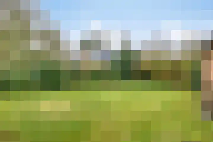 Rhienderstein 4 Ugchelen thumbnail 28