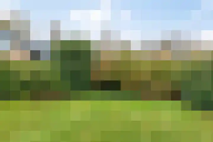 Rhienderstein 4 Ugchelen thumbnail 29