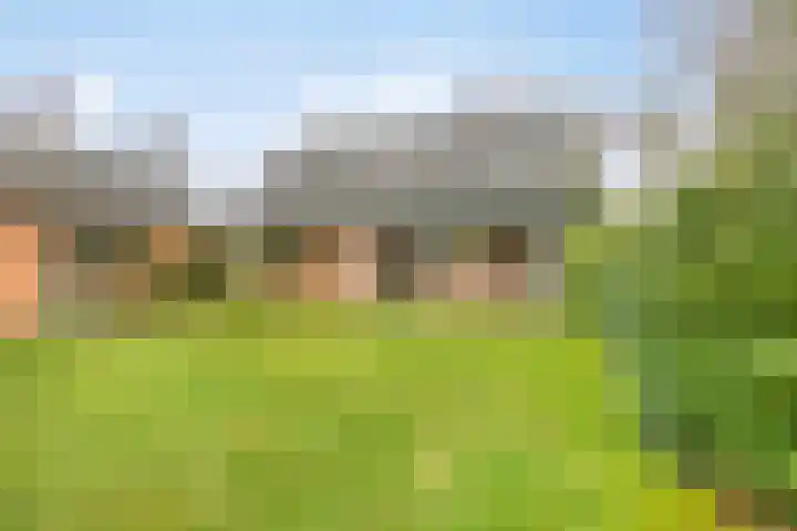 Rhienderstein 4 Ugchelen thumbnail 31