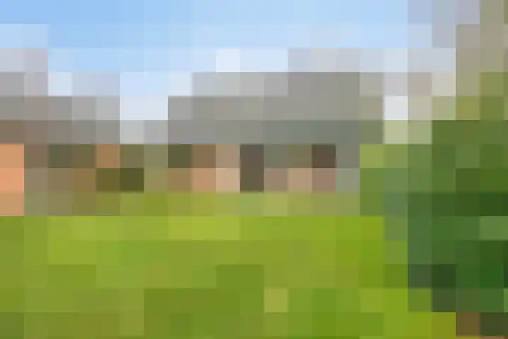Rhienderstein 4 Ugchelen thumbnail 32