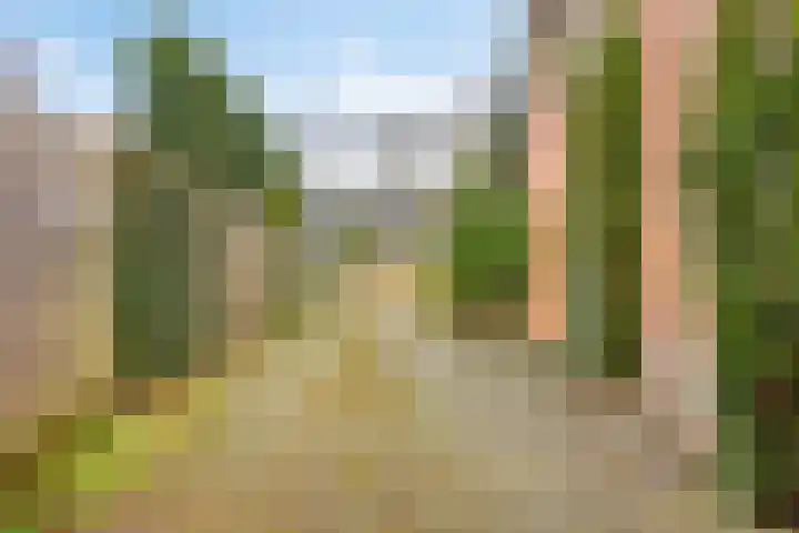 Rhienderstein 4 Ugchelen thumbnail 35